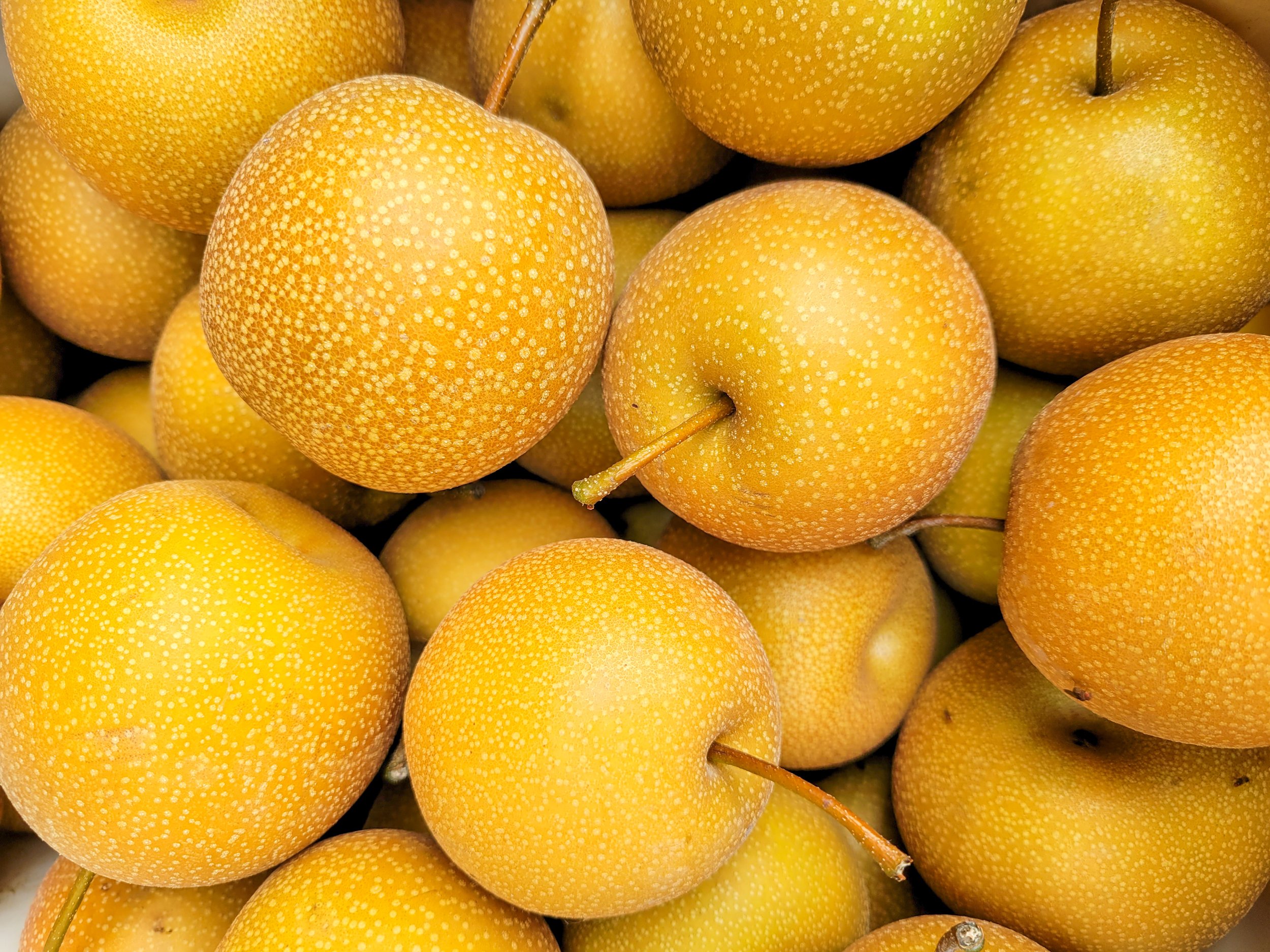Image placeholder indicating a need for a photo, often used in design or content creation to signify missing visual content.