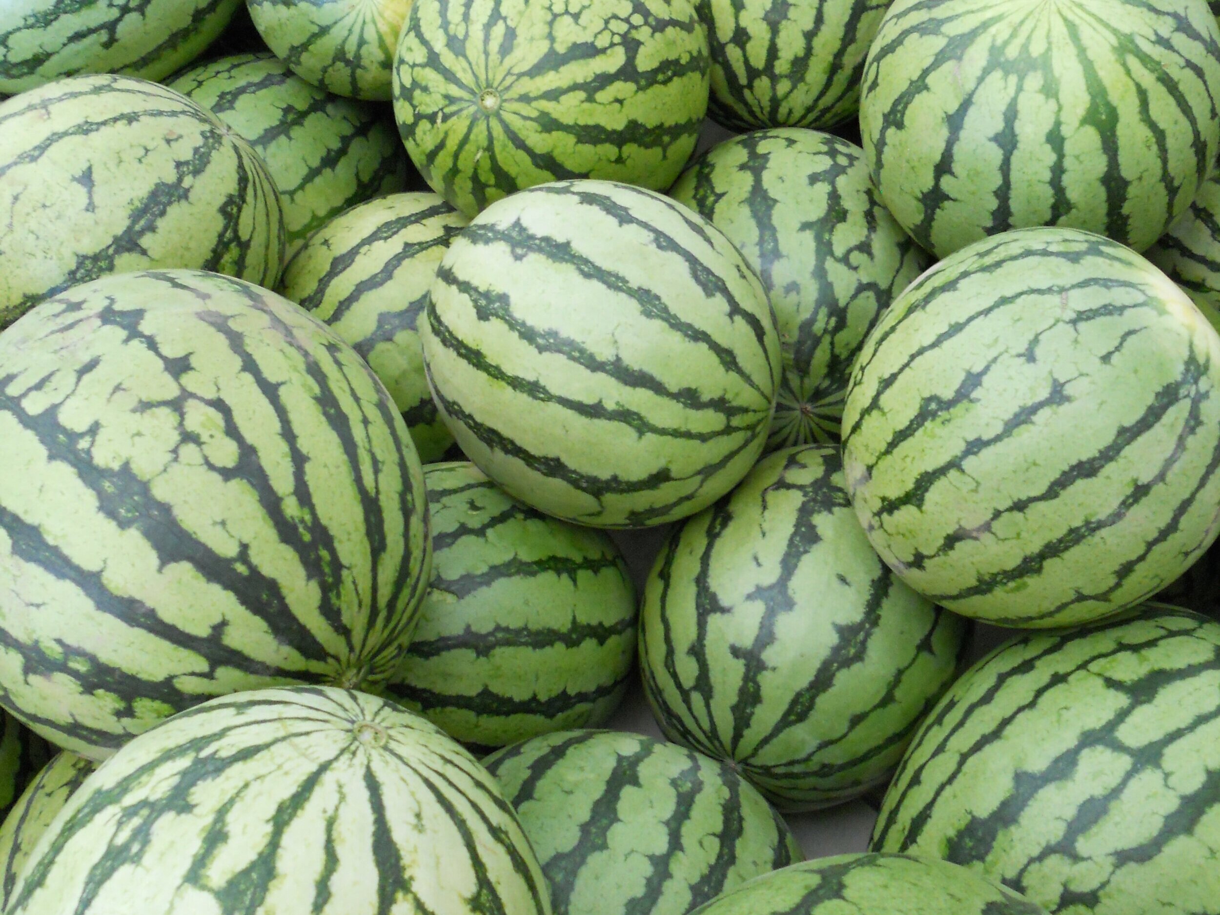 Image placeholder indicating a need for a photo, often used in design or content creation to signify missing visual content.